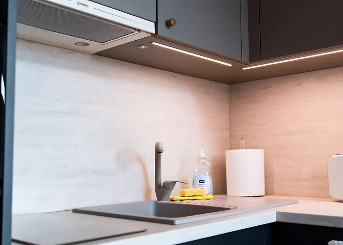 Apartament Stiilne Ja Avar Kodu Tartus, Riia 20 Tartu