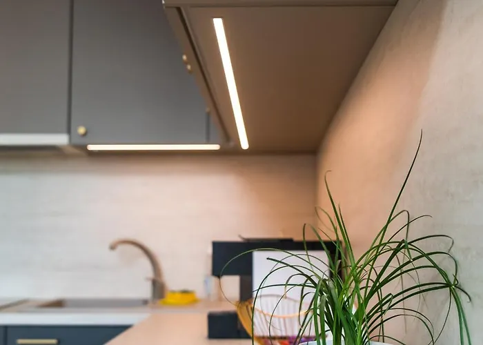 Stiilne Ja Avar Kodu Tartus, Riia 20 * Tartu