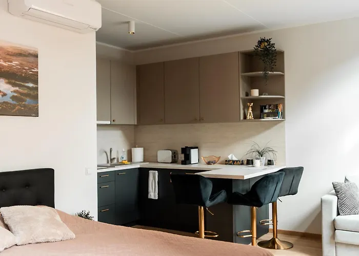 Stiilne Ja Avar Kodu Tartus, Riia 20 *