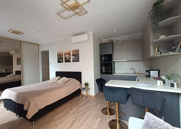 Apartament Stiilne Ja Avar Kodu Tartus, Riia 20 Tartu